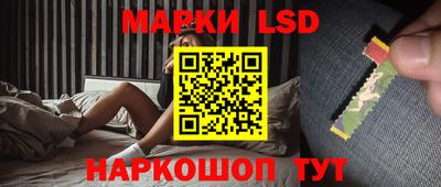 стафф Нальчик
