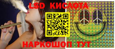 стафф Нальчик