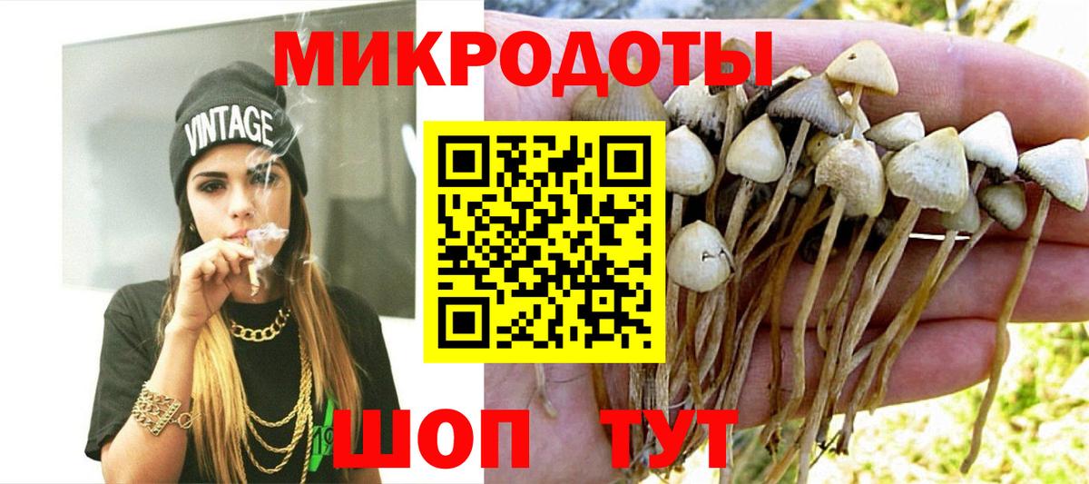 Верхняя Пышма  Галлюциногенные грибы Psilocybe  Вход с VPN 